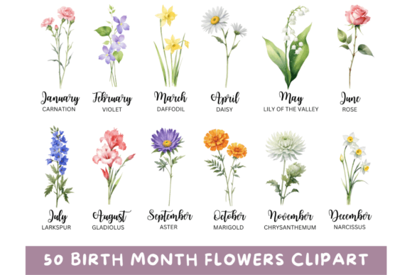Celebrate Every Month: The Art of 50 Watercolor Birth Month Flowers PNG