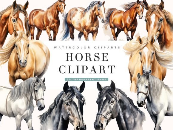 Watercolor Horse Clipart: 30 Transparent PNGs for Your Projects